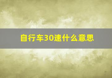 自行车30速什么意思