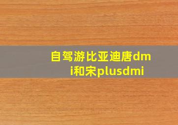 自驾游比亚迪唐dmi和宋plusdmi