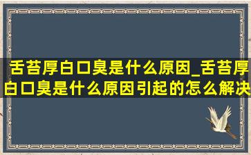 舌苔厚白口臭是什么原因_舌苔厚白口臭是什么原因引起的怎么解决