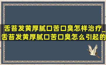 舌苔发黄厚腻口苦口臭怎样治疗_舌苔发黄厚腻口苦口臭怎么引起的