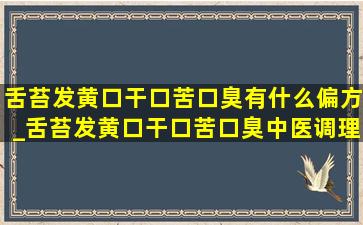 舌苔发黄口干口苦口臭有什么偏方_舌苔发黄口干口苦口臭中医调理