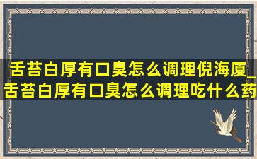 舌苔白厚有口臭怎么调理倪海厦_舌苔白厚有口臭怎么调理吃什么药