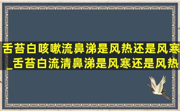 舌苔白咳嗽流鼻涕是风热还是风寒_舌苔白流清鼻涕是风寒还是风热