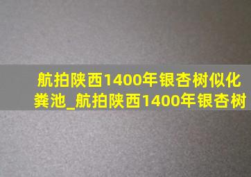 航拍陕西1400年银杏树似化粪池_航拍陕西1400年银杏树