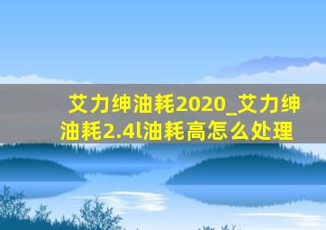 艾力绅油耗2020_艾力绅油耗2.4l油耗高怎么处理