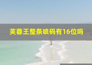 芙蓉王整条喷码有16位吗