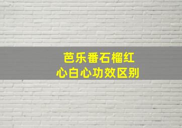 芭乐番石榴红心白心功效区别