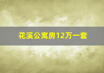 花溪公寓房12万一套