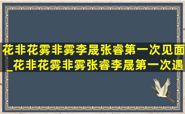 花非花雾非雾李晟张睿第一次见面_花非花雾非雾张睿李晟第一次遇见