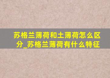 苏格兰薄荷和土薄荷怎么区分_苏格兰薄荷有什么特征