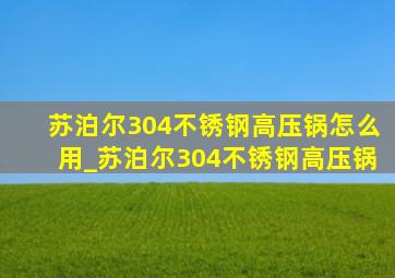 苏泊尔304不锈钢高压锅怎么用_苏泊尔304不锈钢高压锅