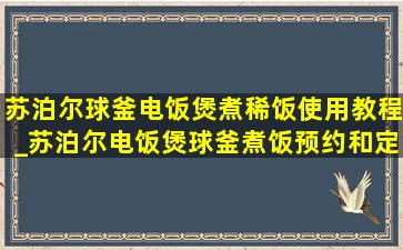 苏泊尔球釜电饭煲煮稀饭使用教程_苏泊尔电饭煲球釜煮饭预约和定时