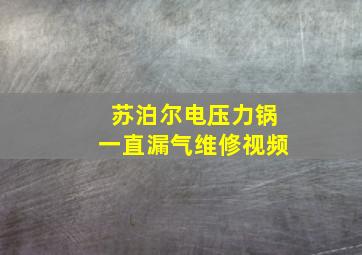 苏泊尔电压力锅一直漏气维修视频