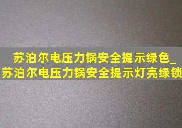 苏泊尔电压力锅安全提示绿色_苏泊尔电压力锅安全提示灯亮绿锁