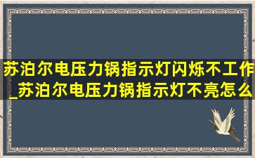 苏泊尔电压力锅指示灯闪烁不工作_苏泊尔电压力锅指示灯不亮怎么办