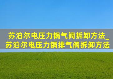 苏泊尔电压力锅气阀拆卸方法_苏泊尔电压力锅排气阀拆卸方法