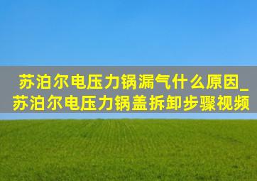 苏泊尔电压力锅漏气什么原因_苏泊尔电压力锅盖拆卸步骤视频