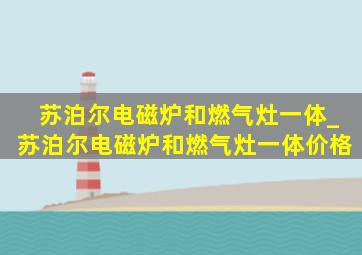 苏泊尔电磁炉和燃气灶一体_苏泊尔电磁炉和燃气灶一体价格