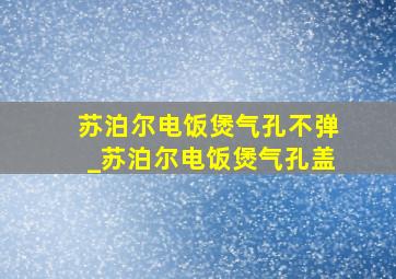 苏泊尔电饭煲气孔不弹_苏泊尔电饭煲气孔盖