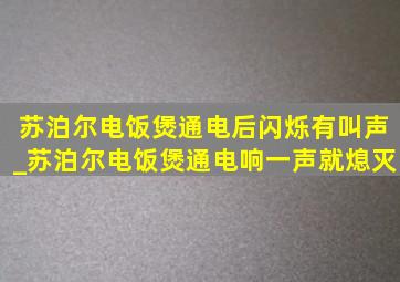 苏泊尔电饭煲通电后闪烁有叫声_苏泊尔电饭煲通电响一声就熄灭