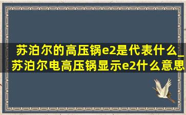 苏泊尔的高压锅e2是代表什么_苏泊尔电高压锅显示e2什么意思