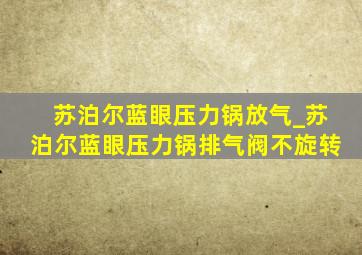 苏泊尔蓝眼压力锅放气_苏泊尔蓝眼压力锅排气阀不旋转