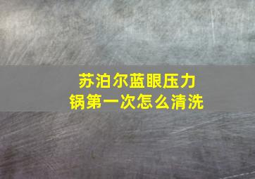 苏泊尔蓝眼压力锅第一次怎么清洗