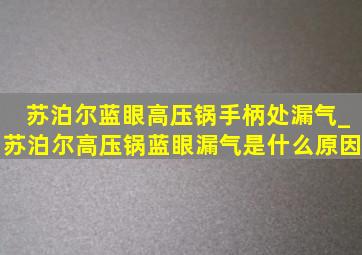 苏泊尔蓝眼高压锅手柄处漏气_苏泊尔高压锅蓝眼漏气是什么原因