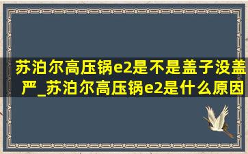 苏泊尔高压锅e2是不是盖子没盖严_苏泊尔高压锅e2是什么原因