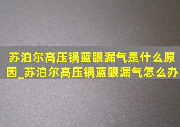 苏泊尔高压锅蓝眼漏气是什么原因_苏泊尔高压锅蓝眼漏气怎么办