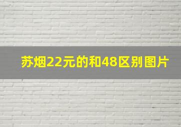 苏烟22元的和48区别图片