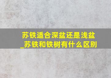 苏铁适合深盆还是浅盆_苏铁和铁树有什么区别