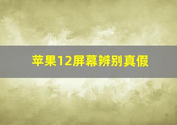 苹果12屏幕辨别真假