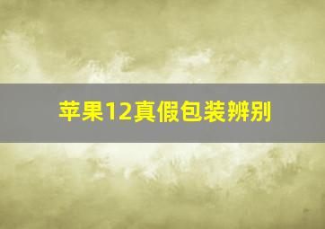 苹果12真假包装辨别