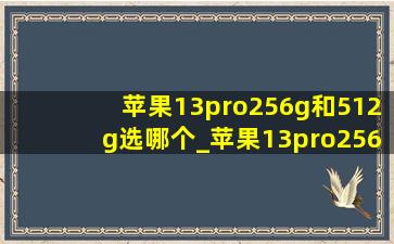 苹果13pro256g和512g选哪个_苹果13pro256g和512g建议买哪一个好