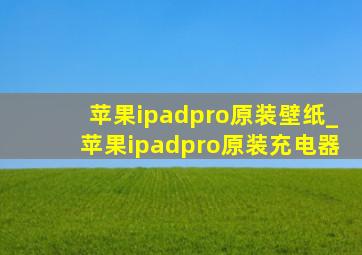 苹果ipadpro原装壁纸_苹果ipadpro原装充电器