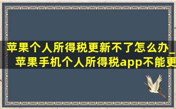 苹果个人所得税更新不了怎么办_苹果手机个人所得税app不能更新