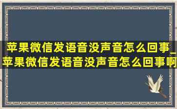 苹果微信发语音没声音怎么回事_苹果微信发语音没声音怎么回事啊