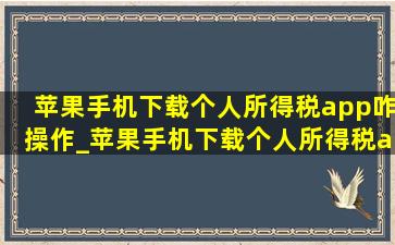 苹果手机下载个人所得税app咋操作_苹果手机下载个人所得税app