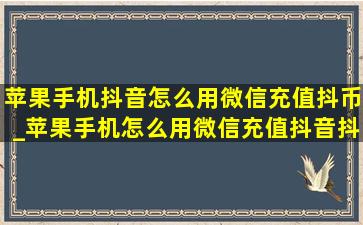 苹果手机抖音怎么用微信充值抖币_苹果手机怎么用微信充值抖音抖币