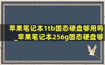 苹果笔记本1tb固态硬盘够用吗_苹果笔记本256g固态硬盘够用吗