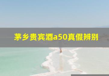 茅乡贵宾酒a50真假辨别