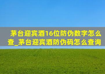 茅台迎宾酒16位防伪数字怎么查_茅台迎宾酒防伪码怎么查询