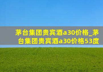 茅台集团贵宾酒a30价格_茅台集团贵宾酒a30价格53度