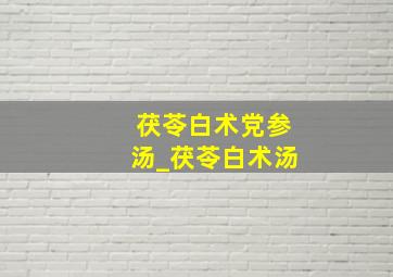 茯苓白术党参汤_茯苓白术汤