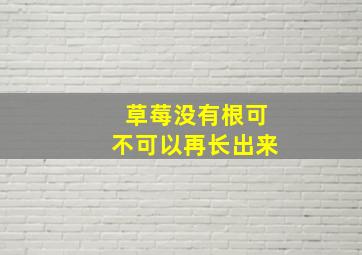 草莓没有根可不可以再长出来