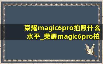 荣耀magic6pro拍照什么水平_荣耀magic6pro拍照实力