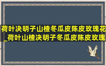 荷叶决明子山楂冬瓜皮陈皮玫瑰花_荷叶山楂决明子冬瓜皮陈皮玫瑰花