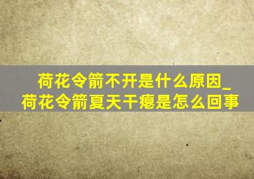 荷花令箭不开是什么原因_荷花令箭夏天干瘪是怎么回事