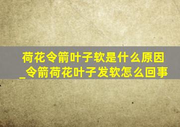 荷花令箭叶子软是什么原因_令箭荷花叶子发软怎么回事